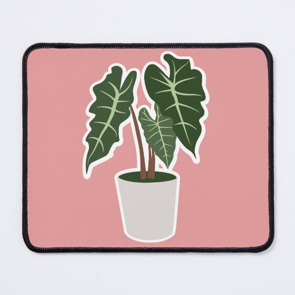 Item preview, Alocasia Potted Plant designed and sold by Madeleine Hogue.