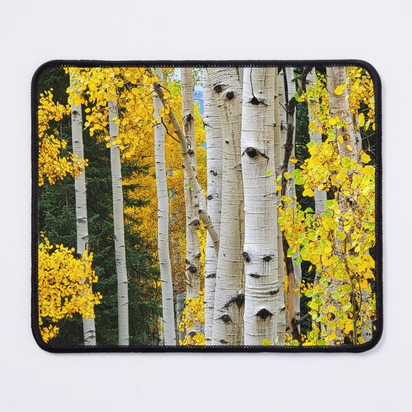 Item preview, Showy Aspens designed and sold by EyeOfDelight.