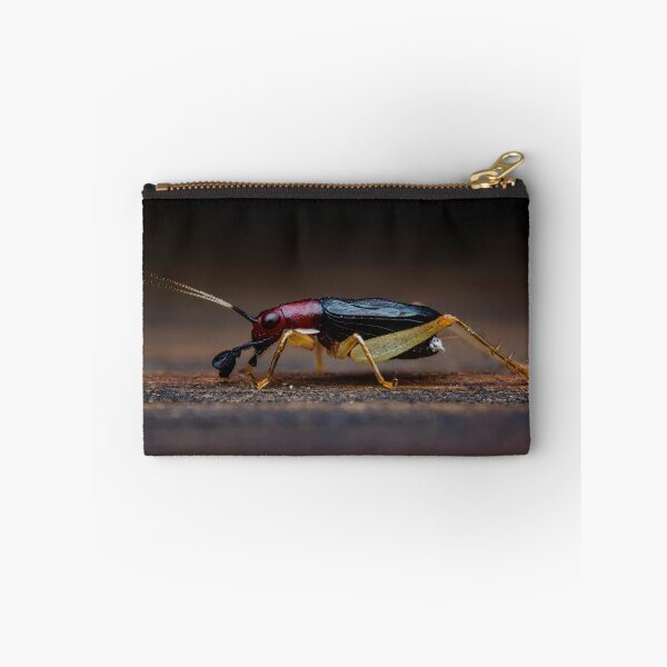 Item preview, Red Headed Bush Cricket - Phyllopalpus pulchellus designed and sold by AronsTinySafari.