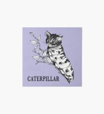 Caterpillar, Cat + Caterpillar Hybrid Animal Art Board
