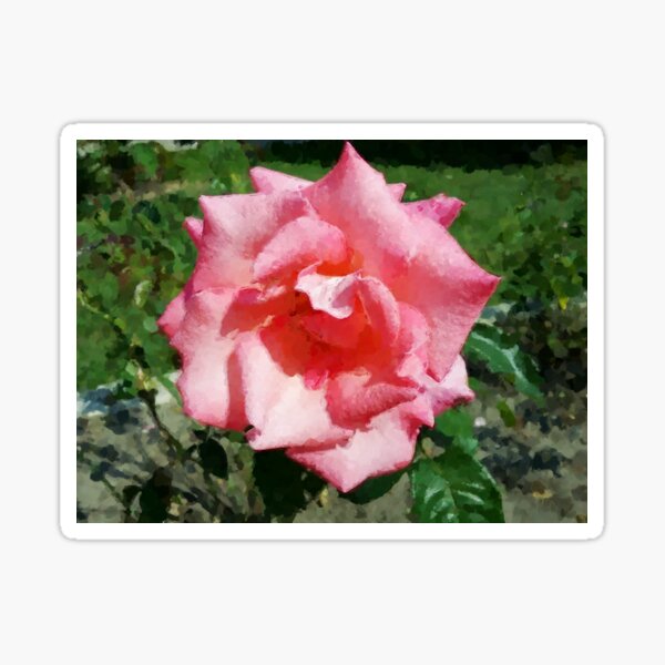 Item preview, Country Wedding. designed and sold by TJS-Photography.