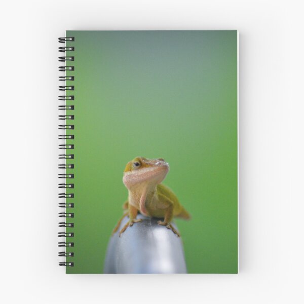 Item preview, Green Anole Lizard Posing designed and sold by depictionly.
