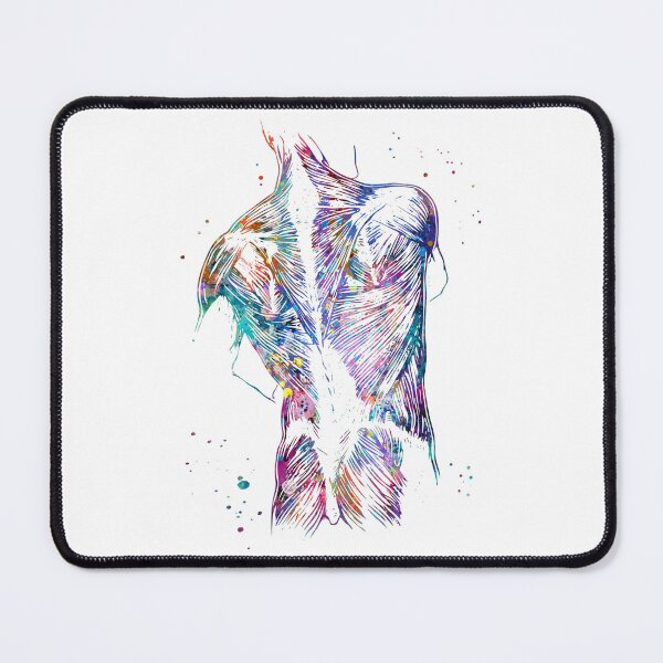Item preview, Back Muscles Anatomy designed and sold by EvasDreams.
