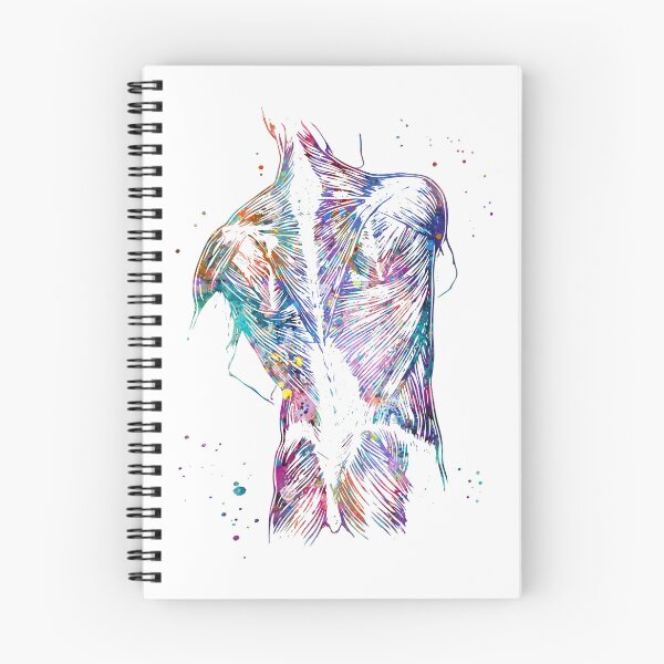 Item preview, Back Muscles Anatomy designed and sold by EvasDreams.