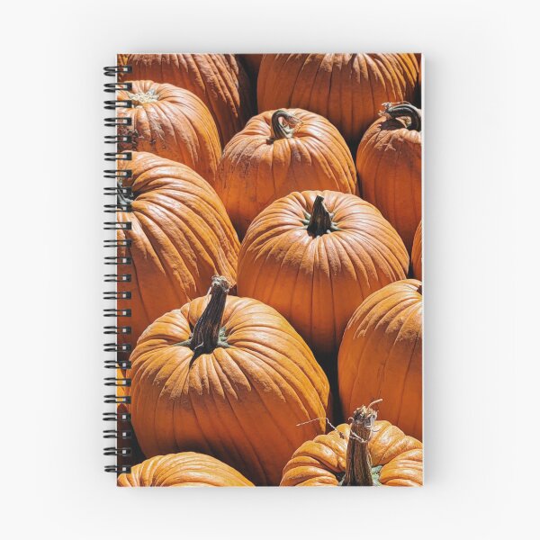 Item preview, Pumpkins in the Sun designed and sold by EyeOfDelight.