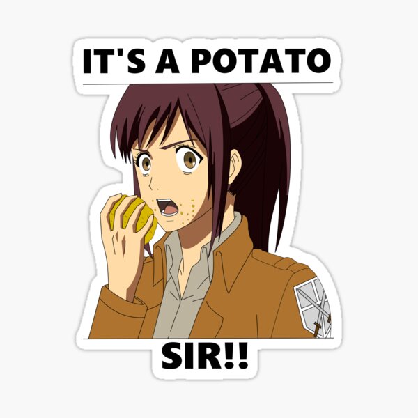 Share more than 82 sasha anime character super hot - in.duhocakina