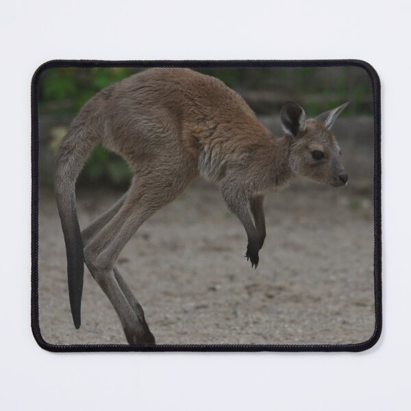 Item preview, Kangaroo Joey Hopping Along designed and sold by Kim Pruim.