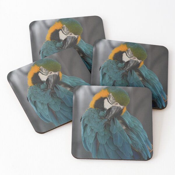 Item preview, Macaw Keeping Itself Clean designed and sold by Kim Pruim.