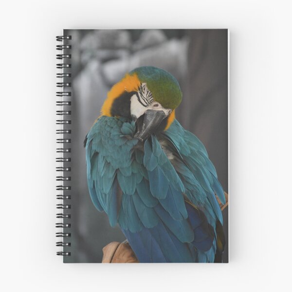 Item preview, Macaw Keeping Itself Clean designed and sold by Kim Pruim.