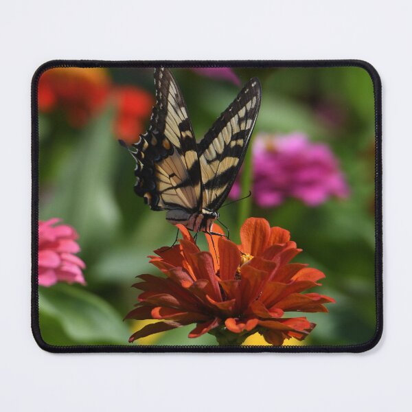Item preview, Butterfly On A Flower designed and sold by Kim Pruim.
