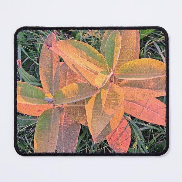 Item preview, Two Orange Plants Green Grass "Photography of Nature" designed and sold by Istvan Ocztos.