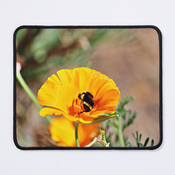 Item preview, The Bee in the California Poppy designed and sold by Martha Sherman.