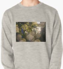 Sunlight manipulation Pullover Sweatshirt