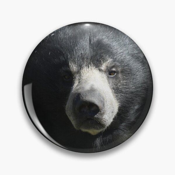 Item preview, Sloth Bear Looking At Me designed and sold by Kim Pruim.
