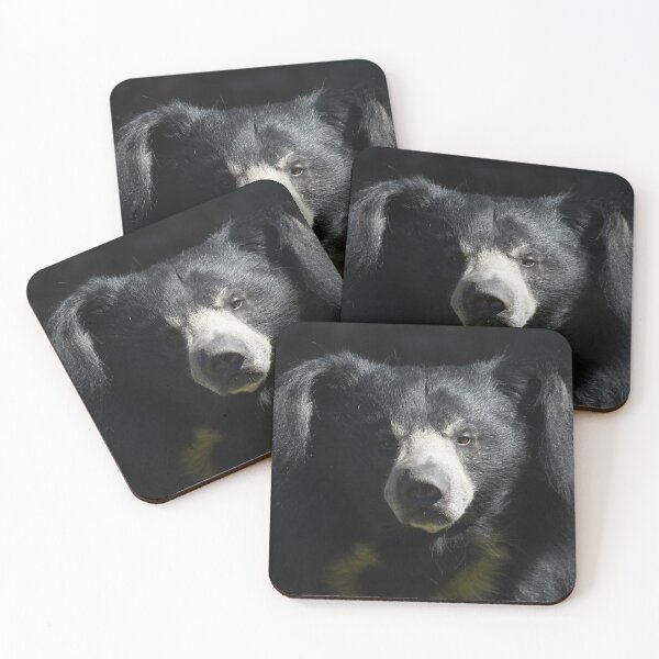 Item preview, Sloth Bear Looking At Me designed and sold by Kim Pruim.