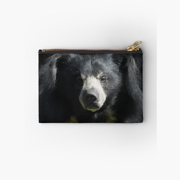 Item preview, Sloth Bear Looking At Me designed and sold by Kim Pruim.