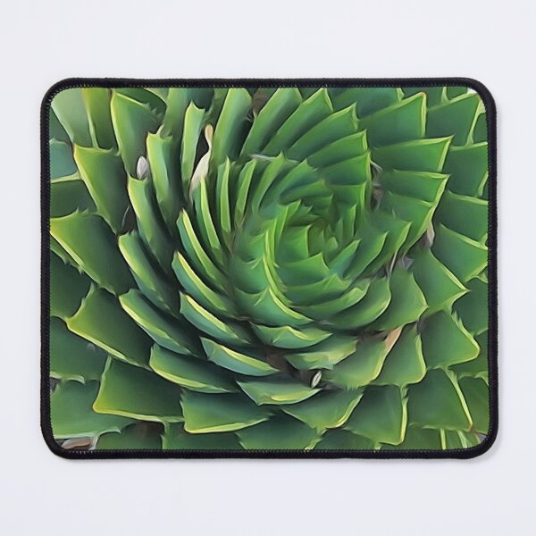 Item preview, Spiral Cactus Pattern designed and sold by Annalucia.