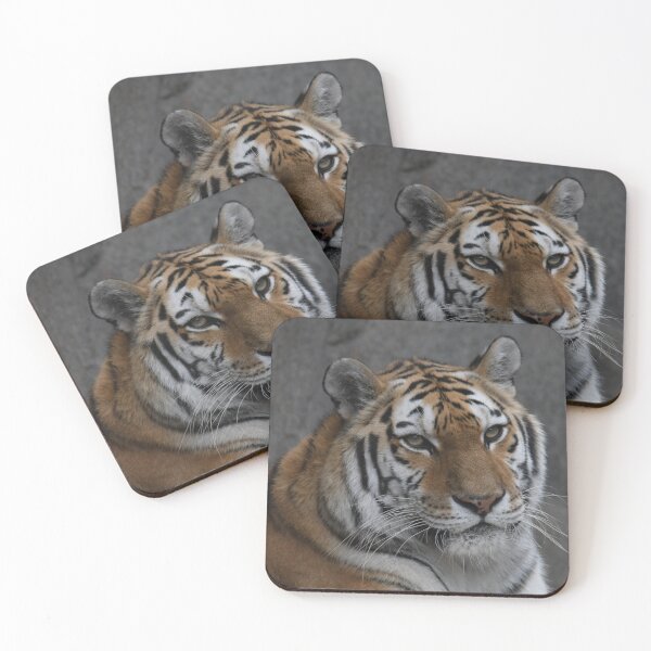 Item preview, A Beautiful Amur Tiger designed and sold by Kim Pruim.