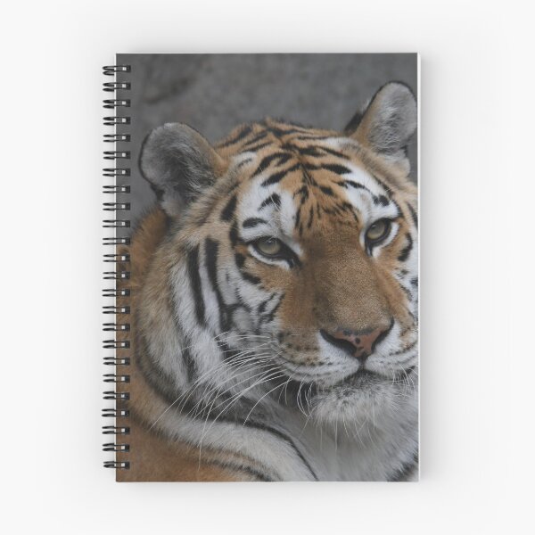 Item preview, A Beautiful Amur Tiger designed and sold by Kim Pruim.