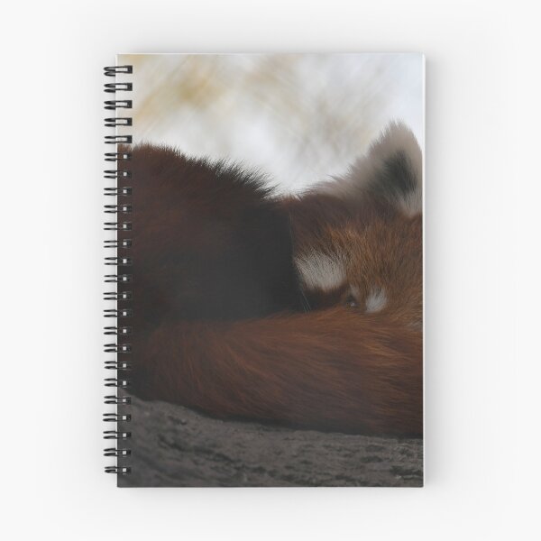 Item preview, Peek-A-Boo Red Panda designed and sold by Kim Pruim.