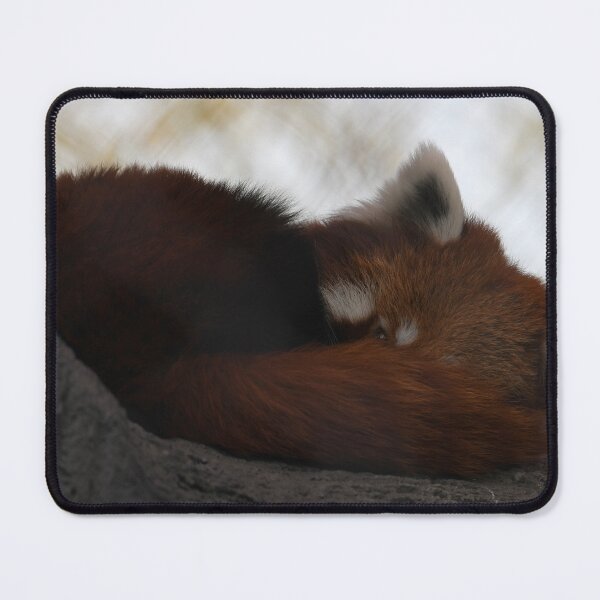 Item preview, Peek-A-Boo Red Panda designed and sold by Kim Pruim.