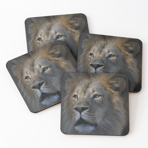 Item preview, African Lion Roaring At Sunset designed and sold by Kim Pruim.