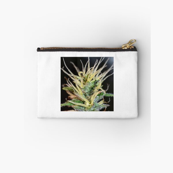 Item preview, Bad Hair Day designed and sold by KingJayGardens.