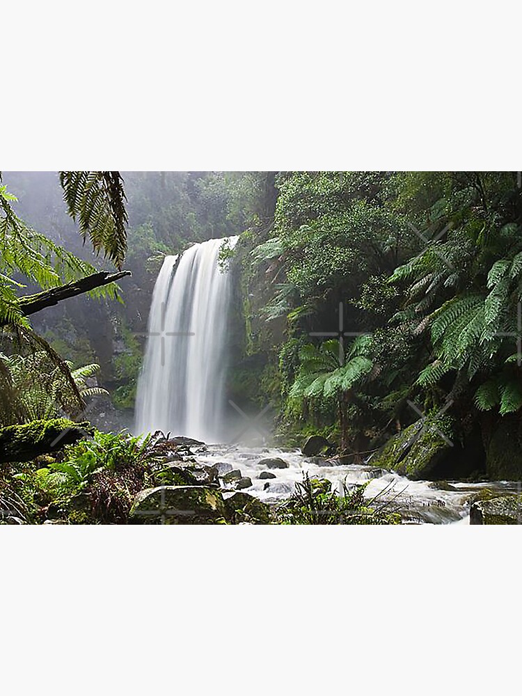 Hopetoun Falls, Waterfall, Great Otway National Park, Australia, Rain  Forrest,  Art Board Print for Sale by Nostrathomas66