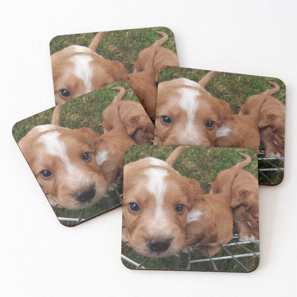 Item preview, Me, Me, Me! designed and sold by Photoboxything.