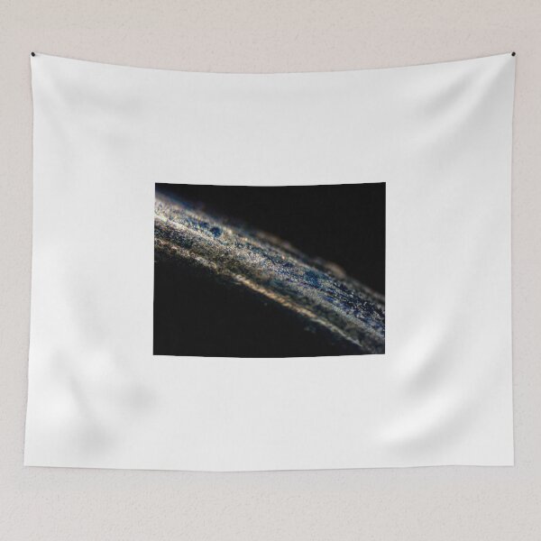 Item preview, Keyring 1 designed and sold by Microscope-Art.