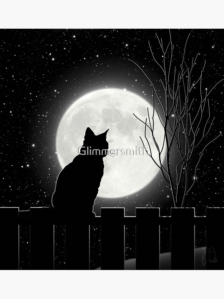 Cat in the moonlight — Steemit