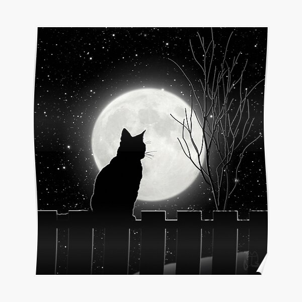 Silent night Cat looking at the full moon Poster