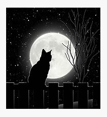 Stille Nacht Katze, die den Vollmond betrachtet Fotodruck