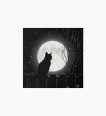 Silent night Cat looking at the full moon Art Board
