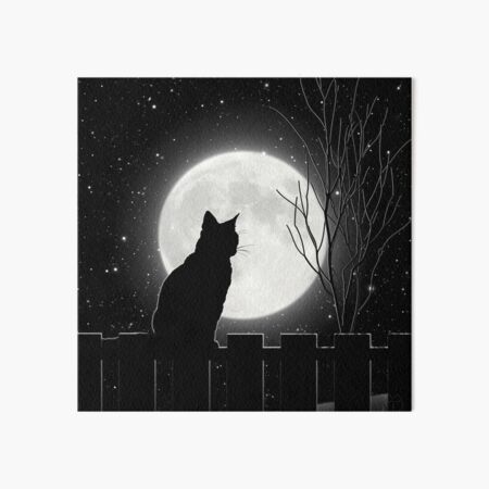 Silent night Cat looking at the full moon Art Board Print