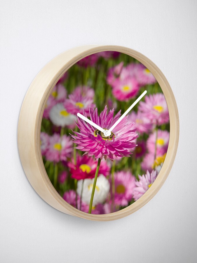 Alternate view of everlasting Clock