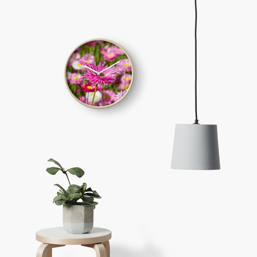 everlasting Clock