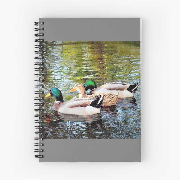 Item preview, Quackerjacks designed and sold by B. Randi Bailey.