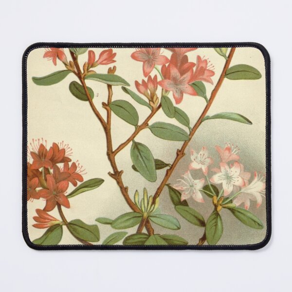 Item preview, Rhododendron Racemosum Flowering Painting designed and sold by laguitan10.
