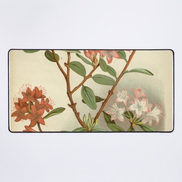 Item preview, Rhododendron Racemosum Flowering Painting designed and sold by laguitan10.