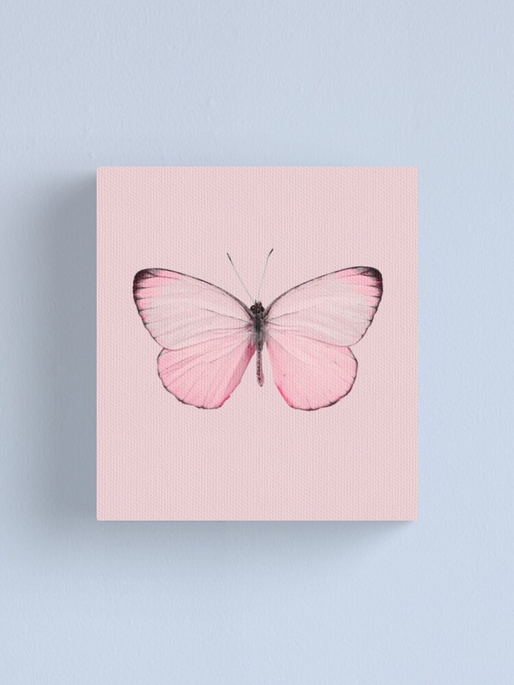 "pink butterfly" Canvas Print for Sale by ericleeart Redbubble