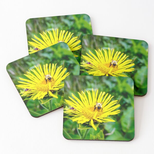 Item preview, Bee On Elecampane Flower 1 designed and sold by Robert Alsop.
