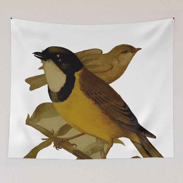 Item preview, Common Brown Sparrow of North America designed and sold by laguitan10.