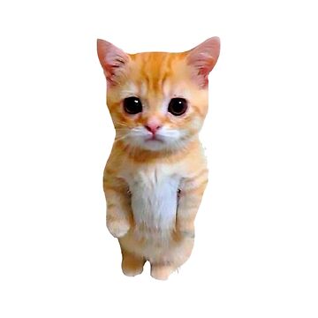 "cat sad" Sticker for Sale by brendaallenart | Redbubble