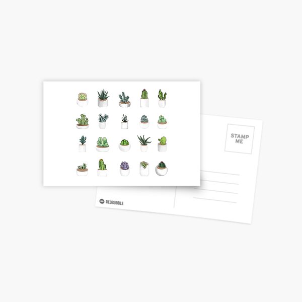 Succulents Postcard