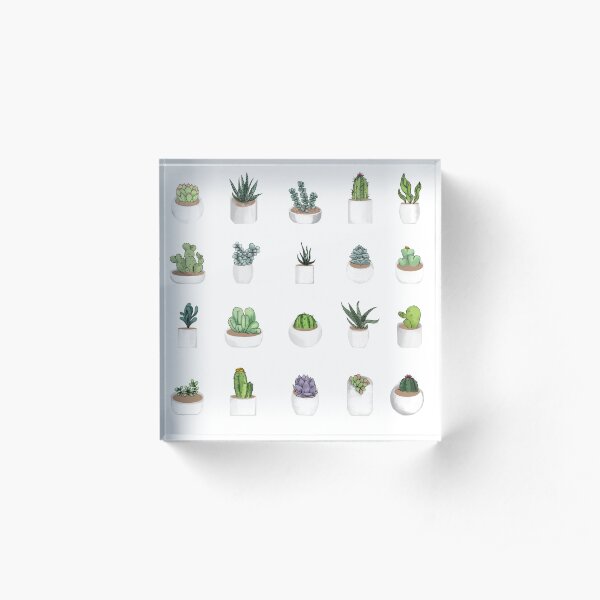 Succulents Acrylic Block