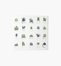 Succulents Art Board