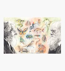 The wildlife of Darwin and Wallace Photographic Print