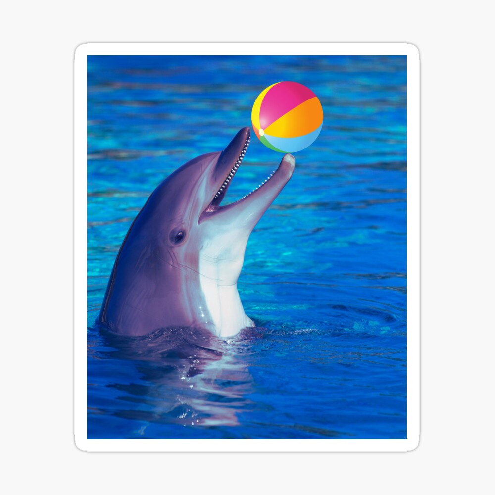 Dolphins play balls. Two dolphins whales play balls.