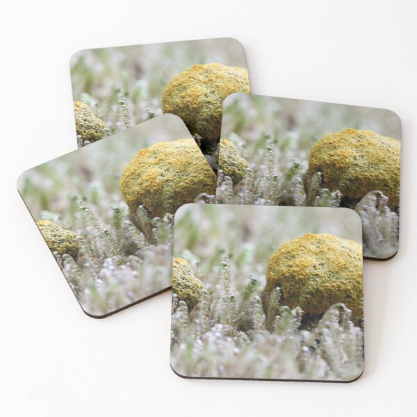 Item preview, On an Alien Planet.... designed and sold by cuprum.